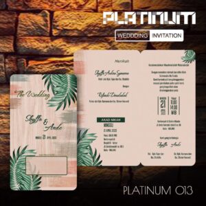 PL 013
